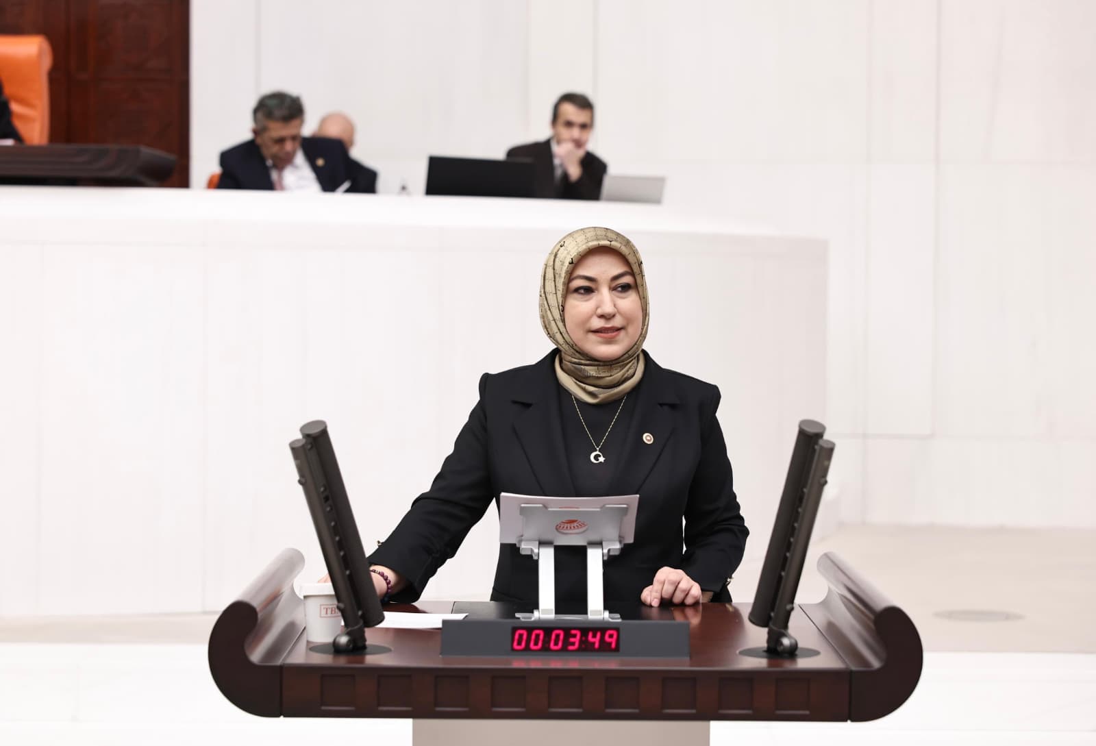 AK Partili Toy'dan TBMM'de Doğa ve Milli Parklar Vurgusu: "Korunan Alanlarımız Dört Katına Çıktı"