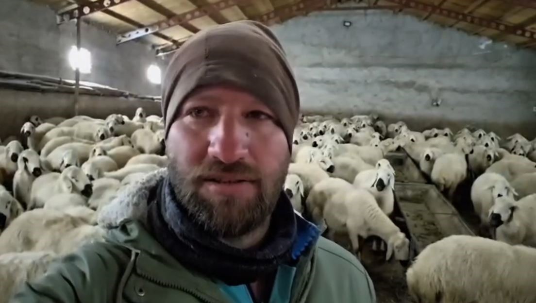 Sivas’ta Karla Mücadele Eden Sürüler ve Türküsüyle Isıtan Çoban: Yaylada Kışın En Sert Hali