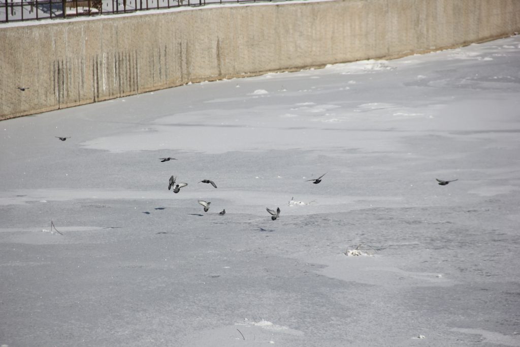 Sivas’ta Dondurucu Soğuk Rekoru: Kızılırmak Buz Tuttu, “Eski Kışlar Geri Geldi” Sözleri Yeniden Duyuldu AW612777 09 | Gündem Sivas™ Haber