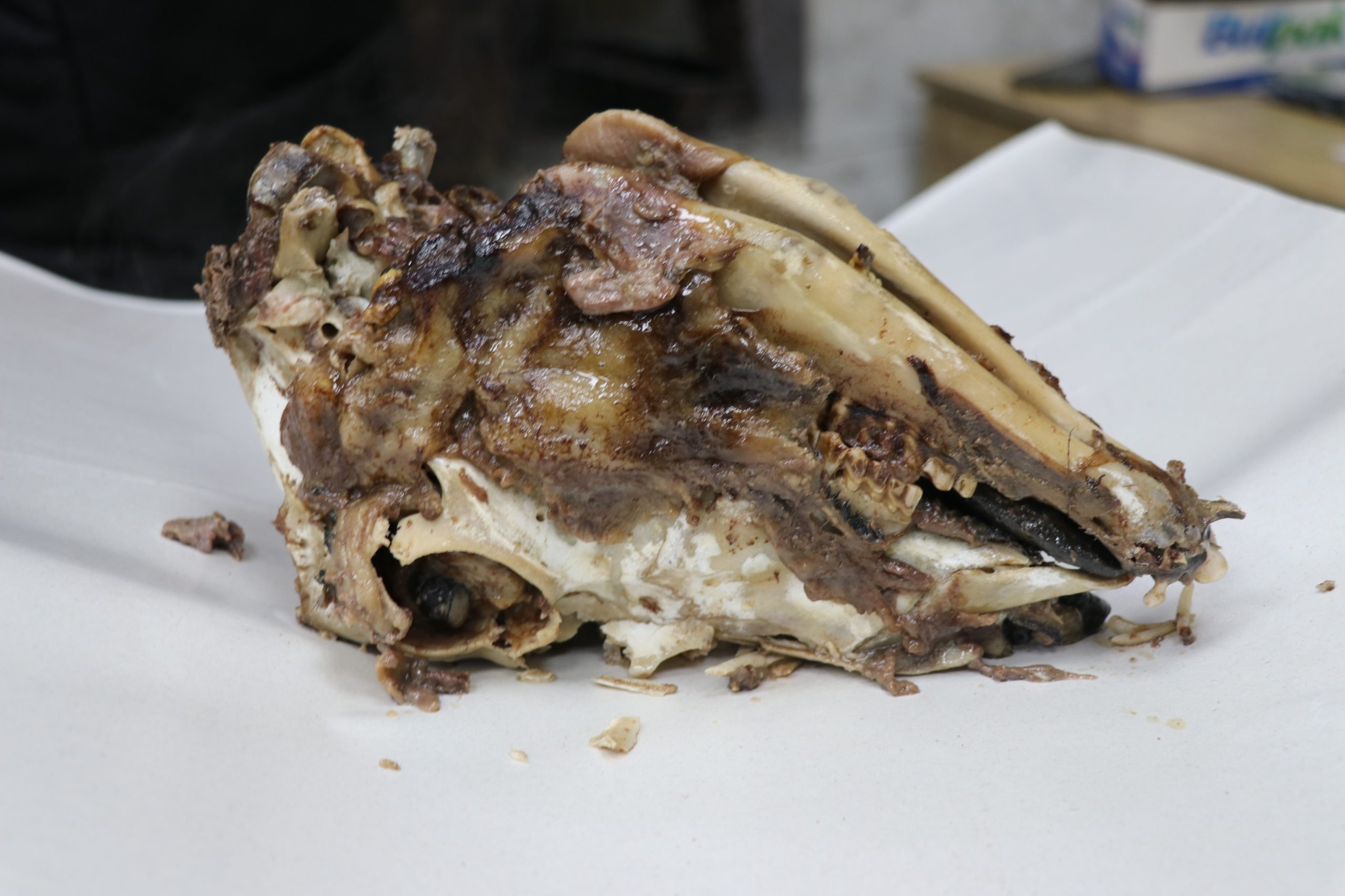 Sivas’ın 16 Saatte Hazırlanan Kış Klasiği: Taş Fırında Pişen Kelleye Yoğun İlgi