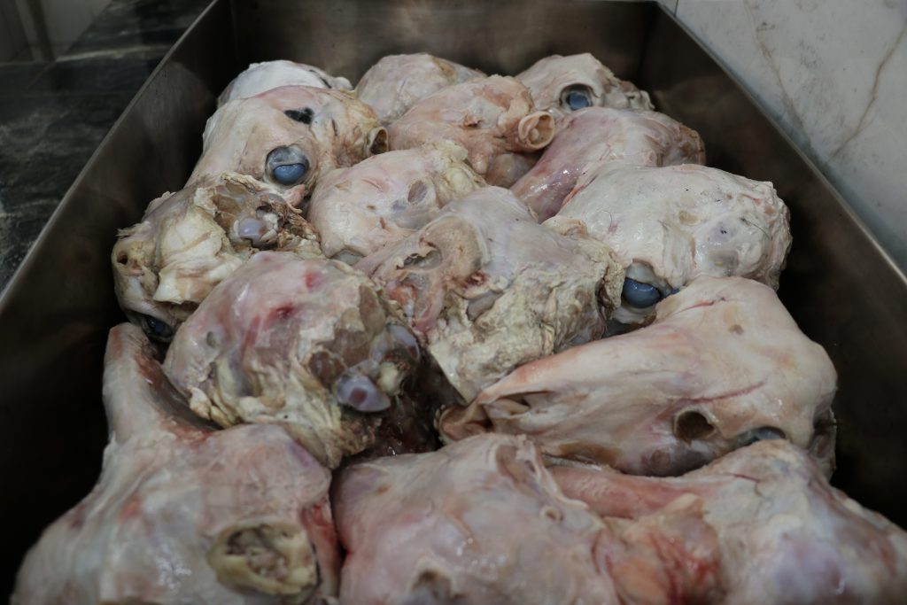 Sivas’ın 16 Saatte Hazırlanan Kış Klasiği: Taş Fırında Pişen Kelleye Yoğun İlgi AW616488 06 | Gündem Sivas™ Haber