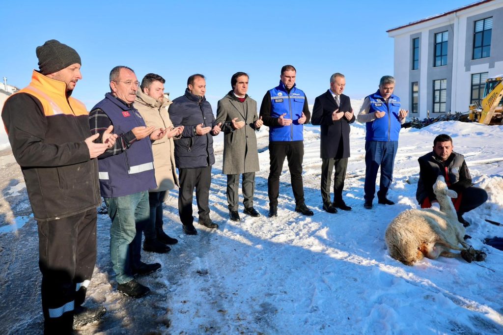 Sivas’ta Karın Bereketine Şükür: Belediye, Yoğun Yağışın Ardından Şükür Koyunu Kesti AW620644 01 | Gündem Sivas™ Haber