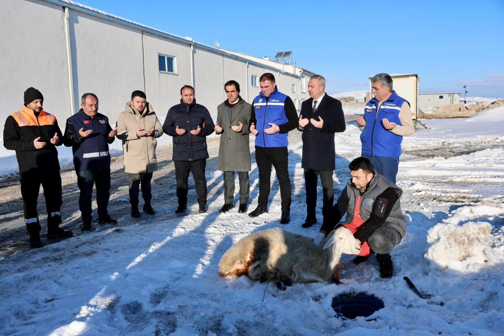 Sivas’ta Karın Bereketine Şükür: Belediye, Yoğun Yağışın Ardından Şükür Koyunu Kesti AW620644 02 | Gündem Sivas™ Haber