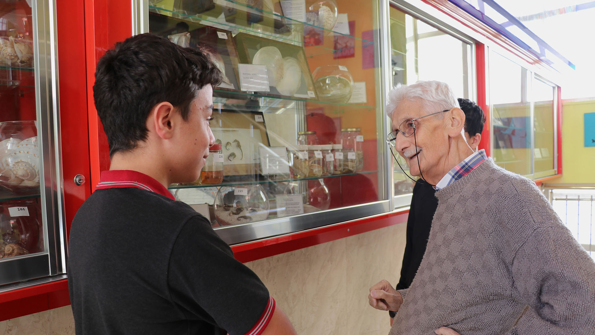 Bir Yumurtayla Başlayan Merak, Bir Okulu Müzeye Dönüştürdü: Sivas’ta Biyolojiye İlham Veren Eğitim Mirası