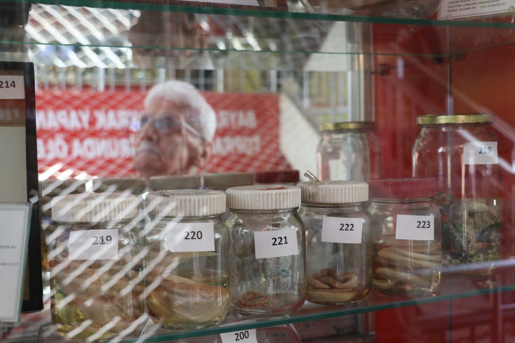 Bir Yumurtayla Başlayan Merak, Bir Okulu Müzeye Dönüştürdü: Sivas’ta Biyolojiye İlham Veren Eğitim Mirası AW621523 03 | Gündem Sivas™ Haber