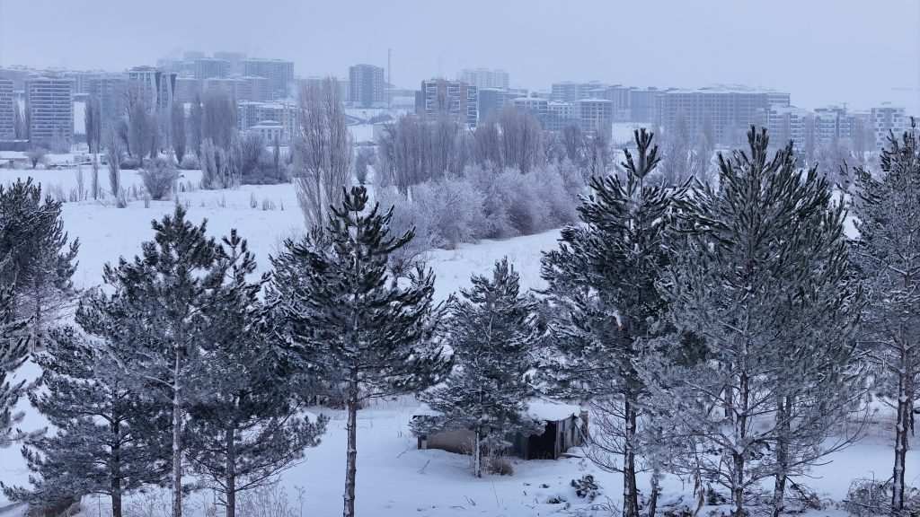 Sivas’ta Sibirya Soğuğu Etkisi: Termometreler Eksi 22’yi Gördü, Kızılırmak Kısmen Dondu AW622784 07 | Gündem Sivas™ Haber