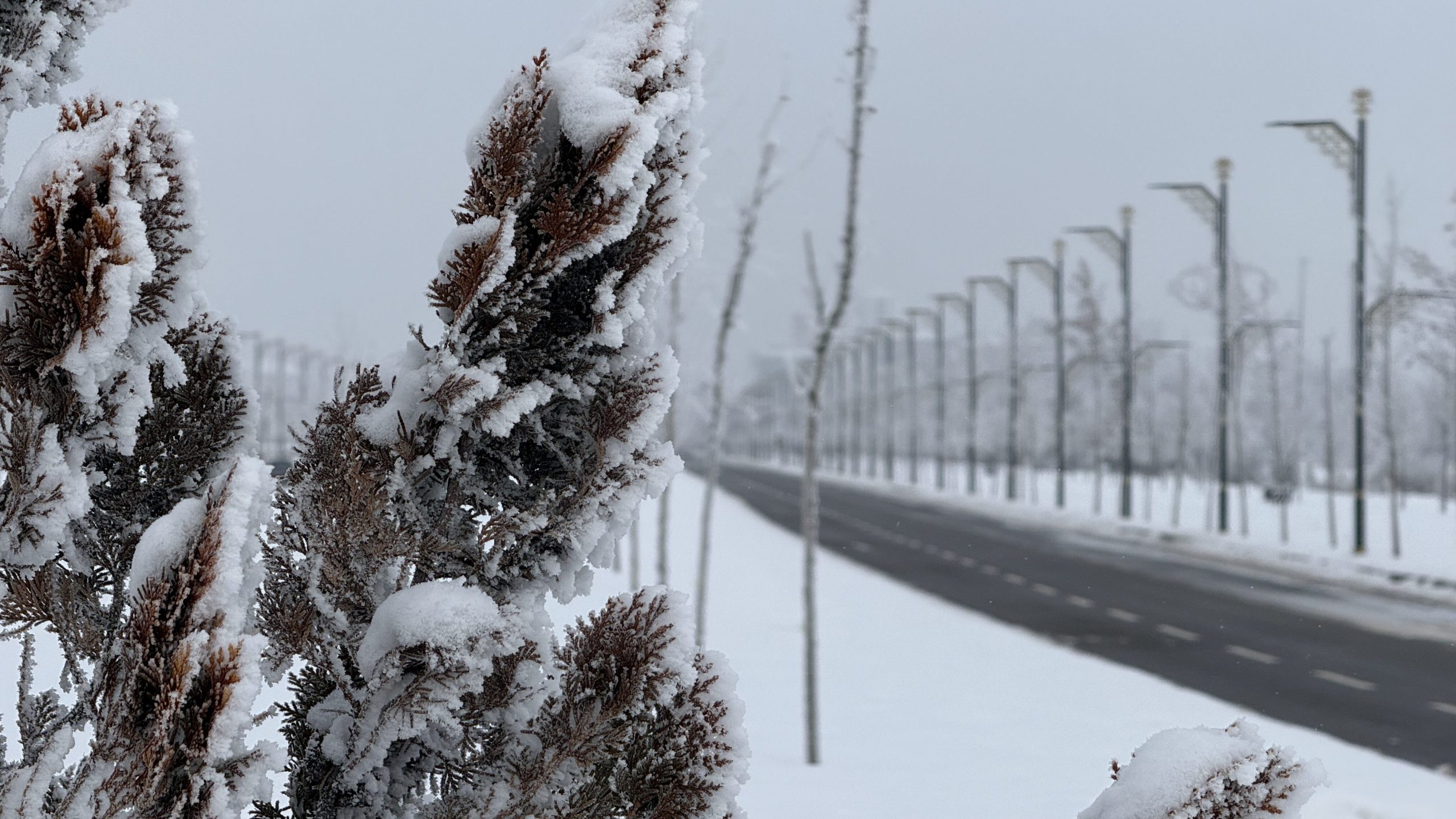 Sivas’ta Sibirya Soğuğu Etkisi: Termometreler Eksi 22’yi Gördü, Kızılırmak Kısmen Dondu AW622784 12 edited scaled | Gündem Sivas™ Haber
