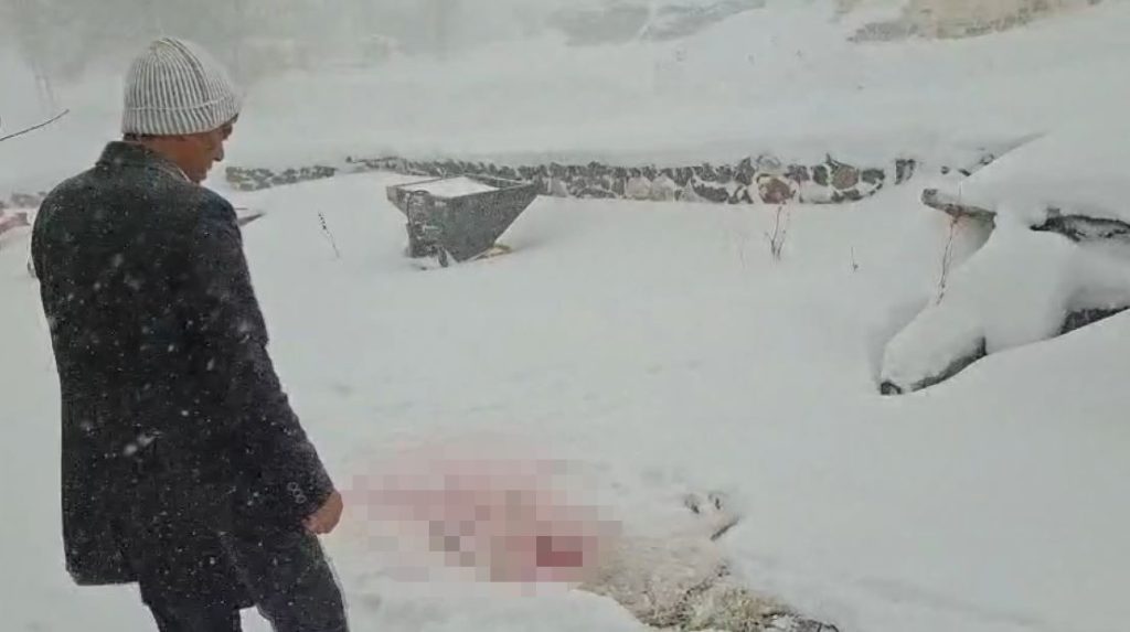 Sivas’ta Aç Kalan Kurtlar Köylere İndi: Gece Baskını Kamerada, Köylüler Tedirgin AW624044 05 | Gündem Sivas™ Haber