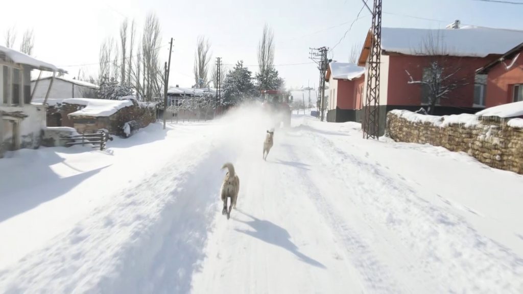 Sivas’ta Kar Eğlencesi Kameralara Yansıdı: Traktöre Bağlanan Lastikle Köy Sokaklarında Unutulmaz Anlar AW624301 03 | Gündem Sivas™ Haber