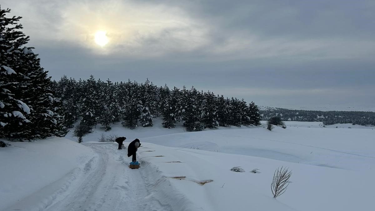 SCÜ’den Dondurucu Kışta Doğaya Umut: Yabani Hayvanlar İçin Kent Genelinde Yemleme Seferberliği AW625710 02 edited | Gündem Sivas™ Haber