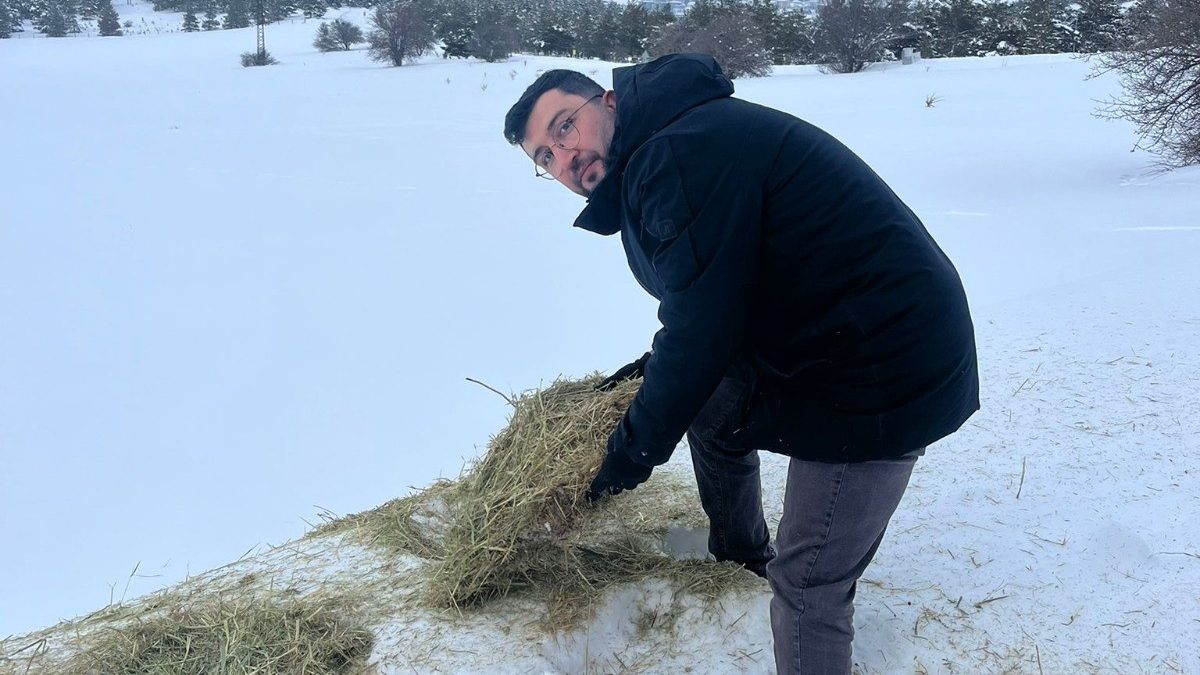 SCÜ’den Dondurucu Kışta Doğaya Umut: Yabani Hayvanlar İçin Kent Genelinde Yemleme Seferberliği AW625710 03 edited | Gündem Sivas™ Haber