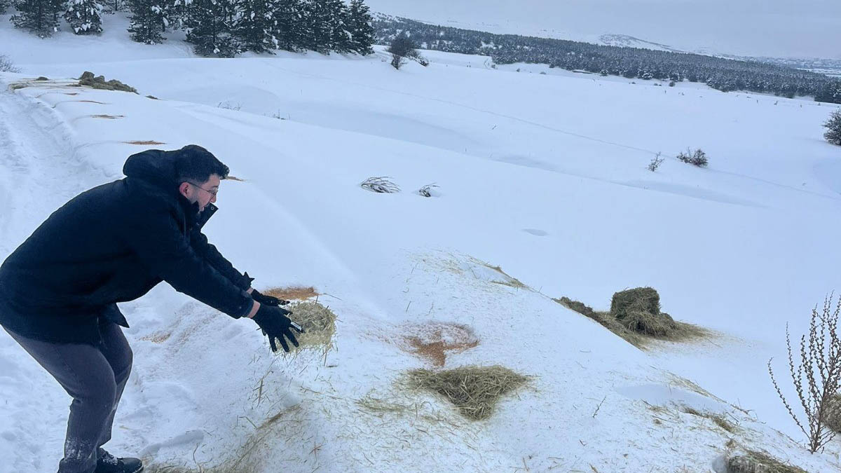 SCÜ’den Dondurucu Kışta Doğaya Umut: Yabani Hayvanlar İçin Kent Genelinde Yemleme Seferberliği