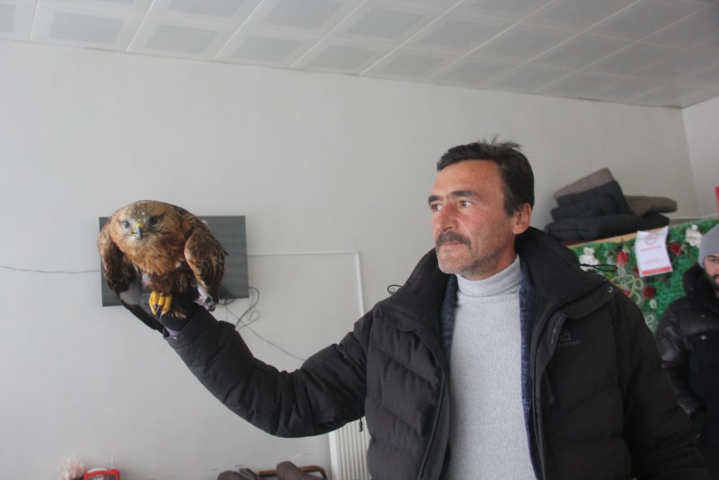 Zara’da Duyarlılık Örneği: Karlar Üzerinde Bitkin Halde Bulunan Kızıl Şahin Koruma Altına Alındı AW626587 03 | Gündem Sivas™ Haber