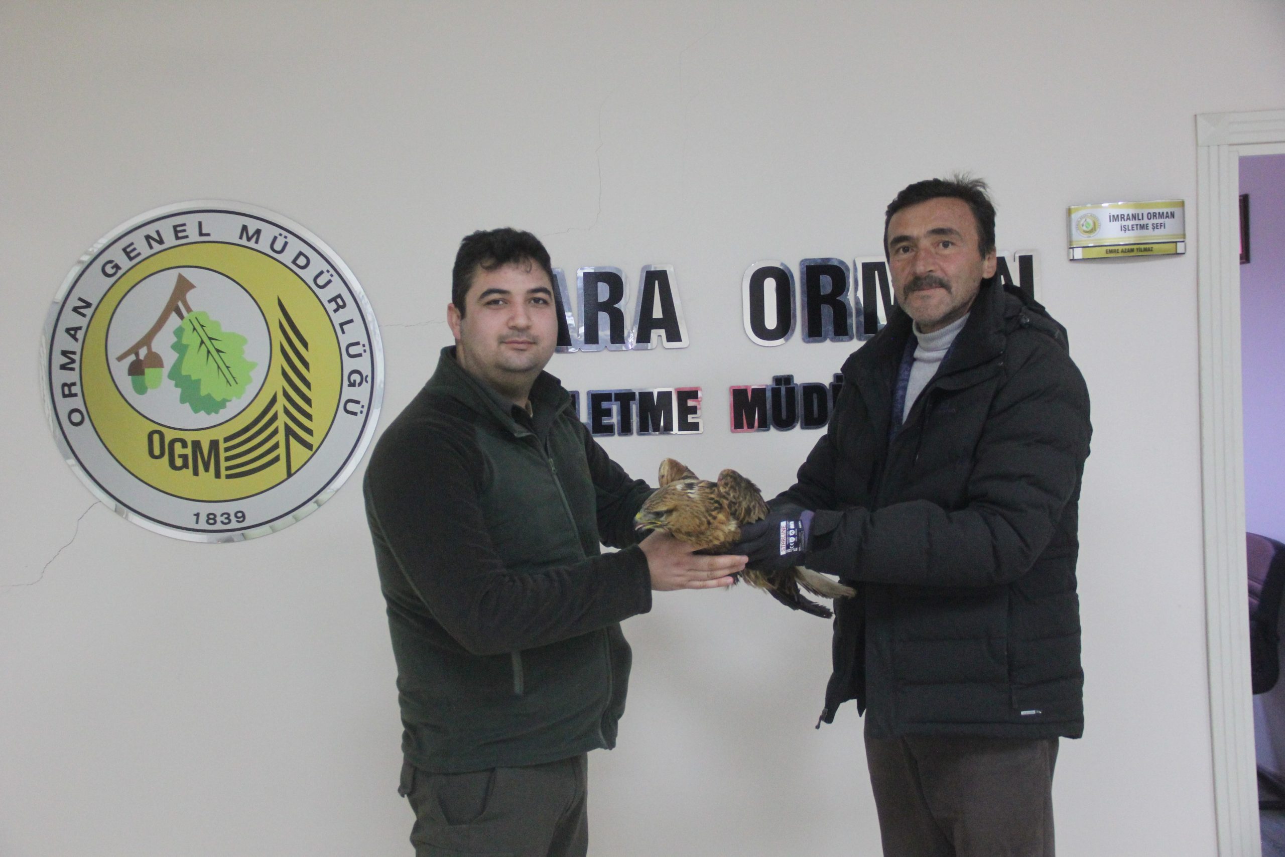 Zara’da Duyarlılık Örneği: Karlar Üzerinde Bitkin Halde Bulunan Kızıl Şahin Koruma Altına Alındı