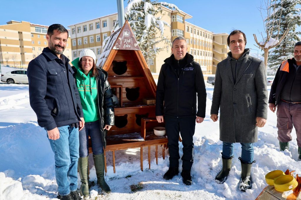 Sivas’ta Kışa Karşı Örnek Dayanışma: Belediye, Sokak Kedileri İçin Seferber Oldu Kediler 4 | Gündem Sivas™ Haber