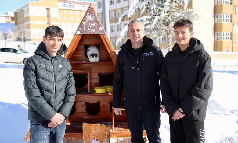 Kediler 5 | Gündem Sivas™ Haber