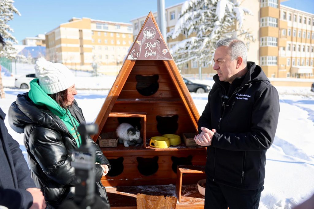 Sivas’ta Kışa Karşı Örnek Dayanışma: Belediye, Sokak Kedileri İçin Seferber Oldu Kediler 6 | Gündem Sivas™ Haber