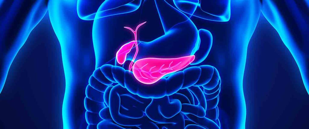 Sessiz İlerliyor, Hayati Risk Taşıyor: Safra Kanalına Düşen Taşlara Dikkat Sessiz İlerliyor, Hayati Risk Taşıyor: Safra Kanalına Düşen Taşlara Dikkat