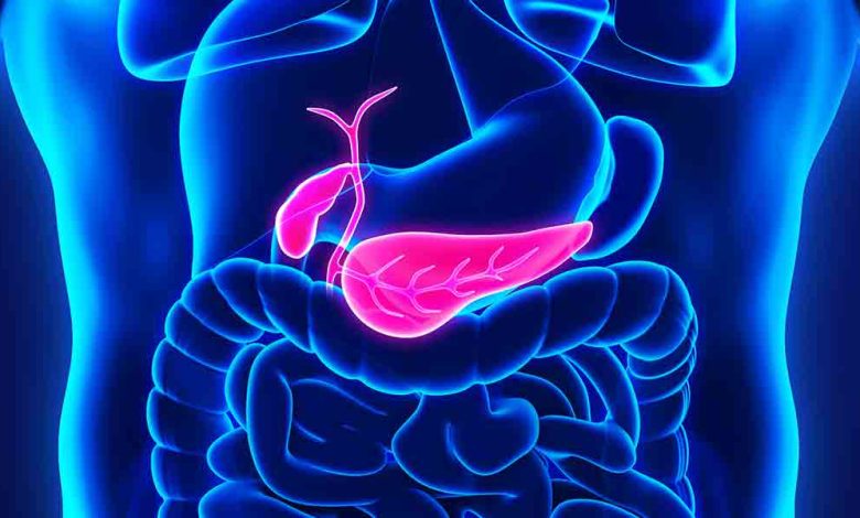 Sessiz İlerliyor, Hayati Risk Taşıyor: Safra Kanalına Düşen Taşlara Dikkat Safra Kesesi Tasi 1 | Gündem Sivas™ Haber