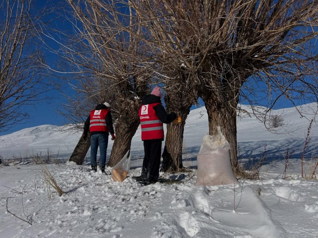 Zorlu Kış Şartlarında Örnek Dayanışma: Türk Kızılay Zara Gönüllülerinden Doğadaki Canlara Anlamlı Destek Zorlu Kış Şartlarında Örnek Dayanışma: Türk Kızılay Zara Gönüllülerinden Doğadaki Canlara Anlamlı Destek