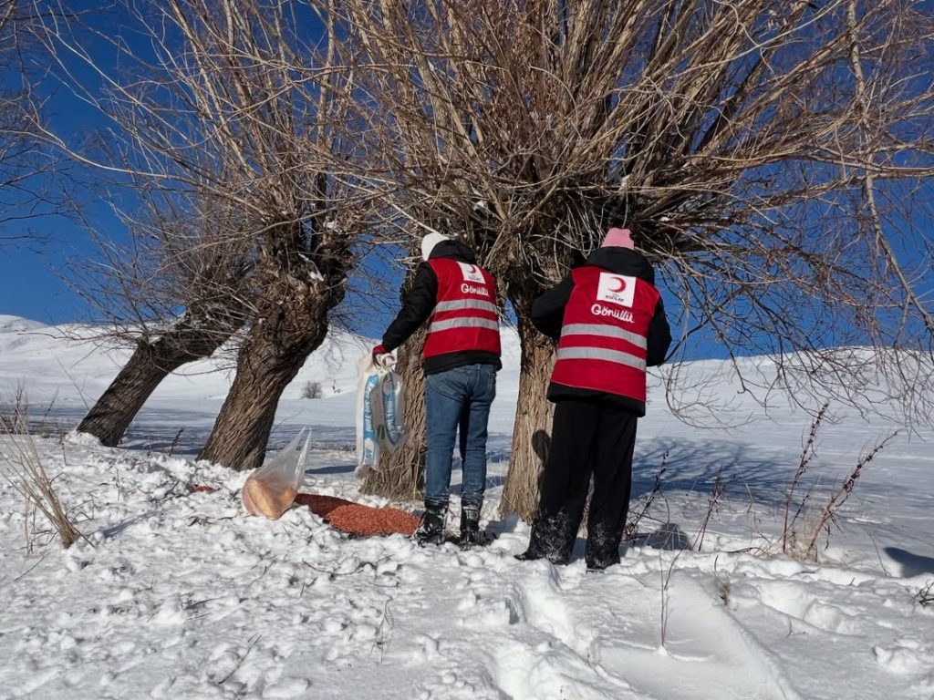 Zorlu Kış Şartlarında Örnek Dayanışma: Türk Kızılay Zara Gönüllülerinden Doğadaki Canlara Anlamlı Destek Turk Kizilayi Zara 2 | Gündem Sivas™ Haber