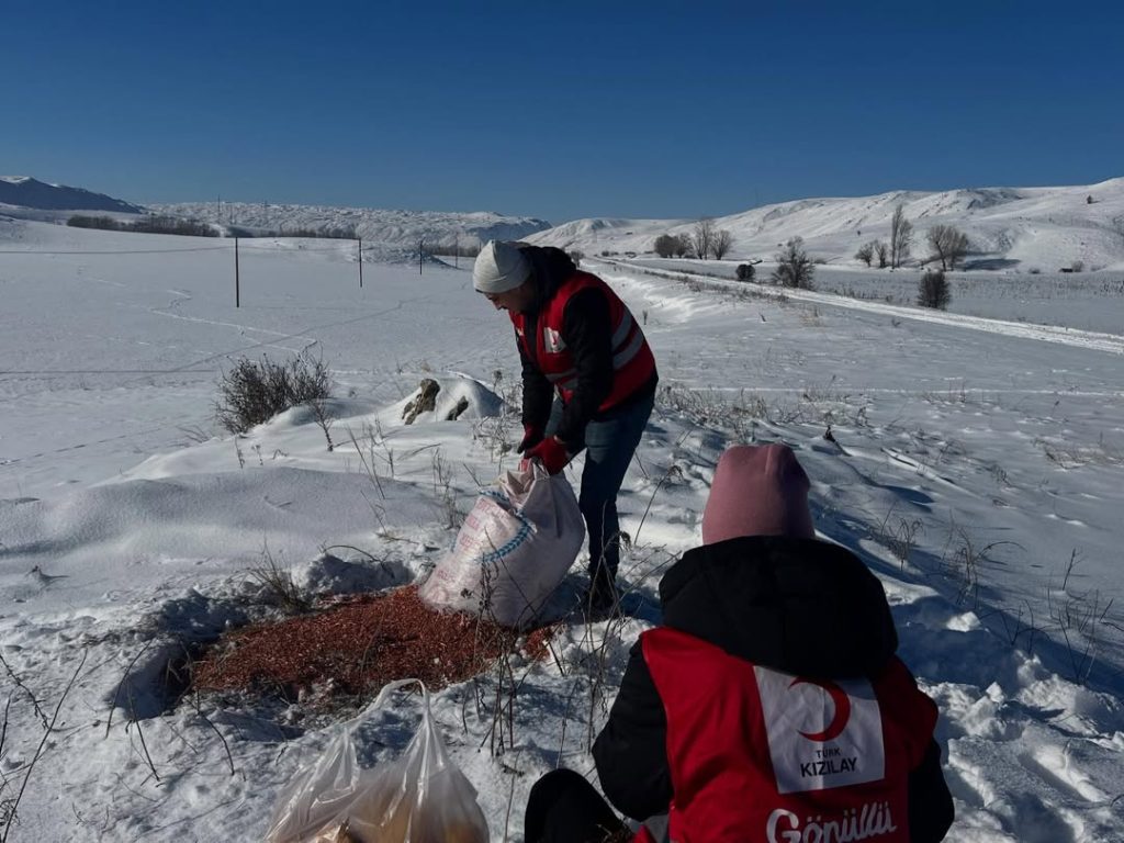 Zorlu Kış Şartlarında Örnek Dayanışma: Türk Kızılay Zara Gönüllülerinden Doğadaki Canlara Anlamlı Destek Turk Kizilayi Zara 4 | Gündem Sivas™ Haber