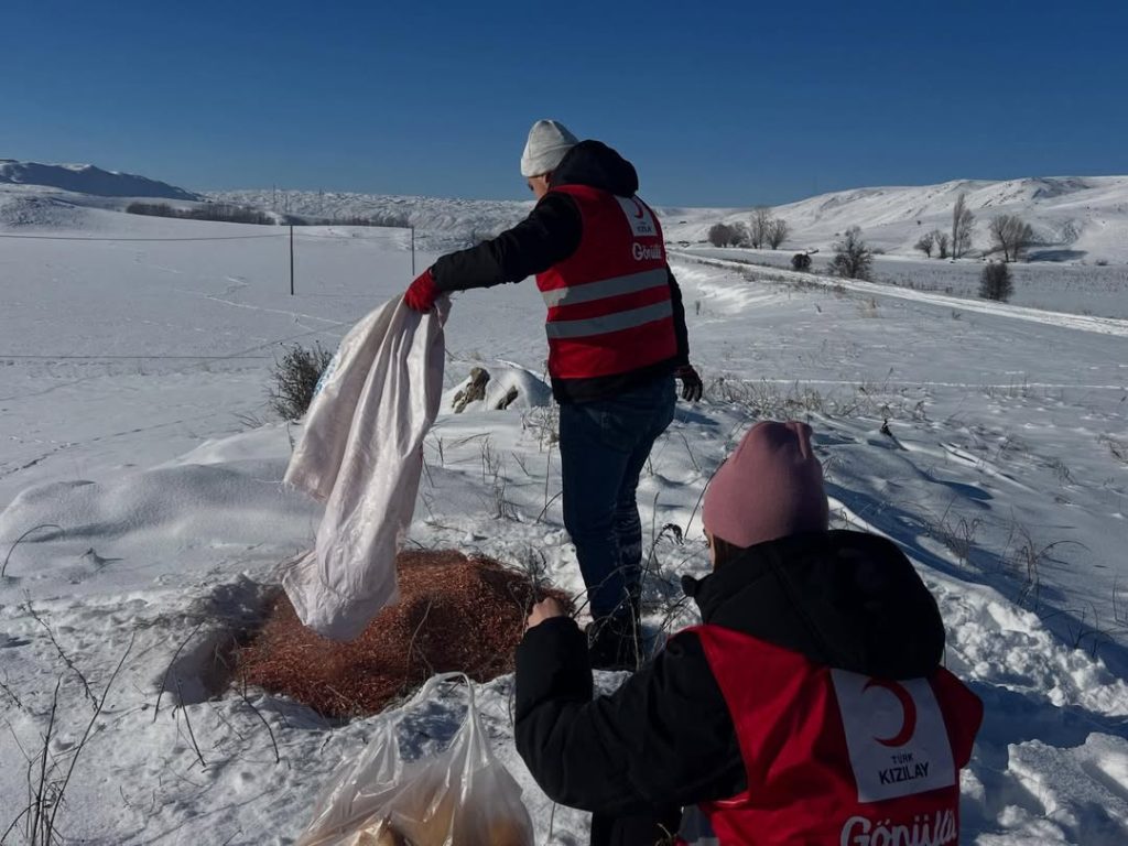 Zorlu Kış Şartlarında Örnek Dayanışma: Türk Kızılay Zara Gönüllülerinden Doğadaki Canlara Anlamlı Destek Turk Kizilayi Zara 5 | Gündem Sivas™ Haber
