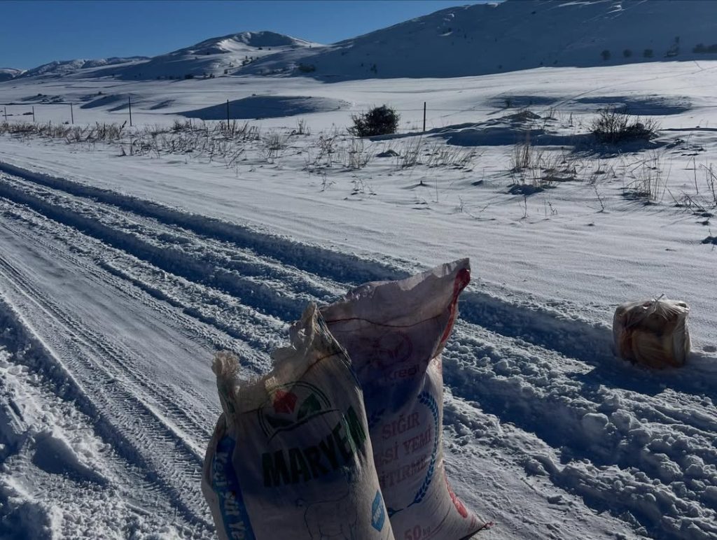 Zorlu Kış Şartlarında Örnek Dayanışma: Türk Kızılay Zara Gönüllülerinden Doğadaki Canlara Anlamlı Destek Turk Kizilayi Zara 6 | Gündem Sivas™ Haber