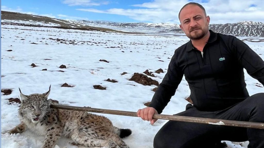 Sivas Hafik’te Yürek Isıtan Kurtarma: Gaziantepli Tır Şoförü Yaralı Vaşağı Ekipler Gelene Kadar Bırakmadı Sivas Hafik’te Yürek Isıtan Kurtarma: Gaziantepli Tır Şoförü Yaralı Vaşağı Ekipler Gelene Kadar Bırakmadı