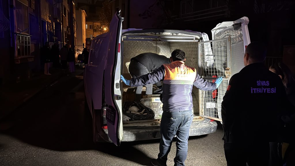 Sivas’ta Yürek Yakan Yangın: İki Katlı Evde 26 Kedi Hayatını Kaybetti, 10’u Kurtarıldı AW632647 01 | Gündem Sivas™ Haber