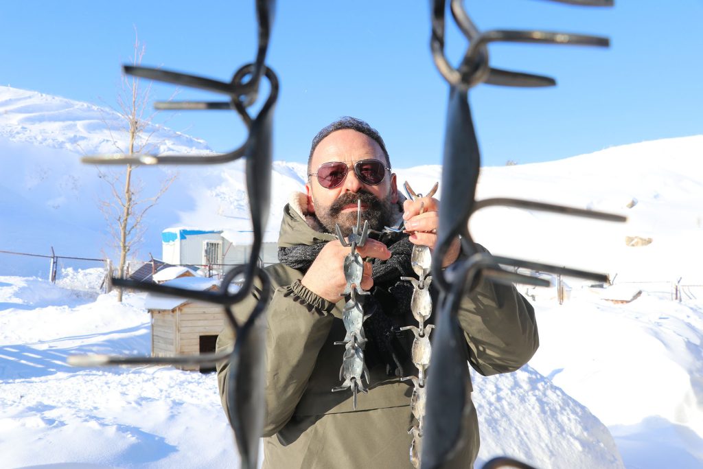 Gürün Çengeli: Sivas’tan Anadolu’ya Uzanan Sessiz Kahraman, Çoban Köpeklerini Kurtlara Karşı Nasıl Koruyor? AW632862 06 | Gündem Sivas™ Haber