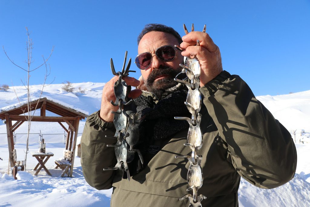 Gürün Çengeli: Sivas’tan Anadolu’ya Uzanan Sessiz Kahraman, Çoban Köpeklerini Kurtlara Karşı Nasıl Koruyor? AW632862 07 | Gündem Sivas™ Haber