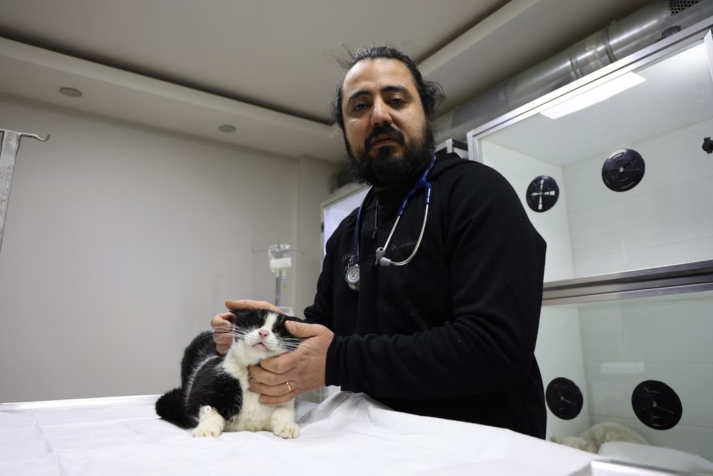 Sivas’taki Yangında 26 Kedi Hayatını Kaybetti: Dumandan Etkilenen 11 Kedi Gönüllü Veterinerlerin Yoğun Bakımında AW635128 01 | Gündem Sivas™ Haber