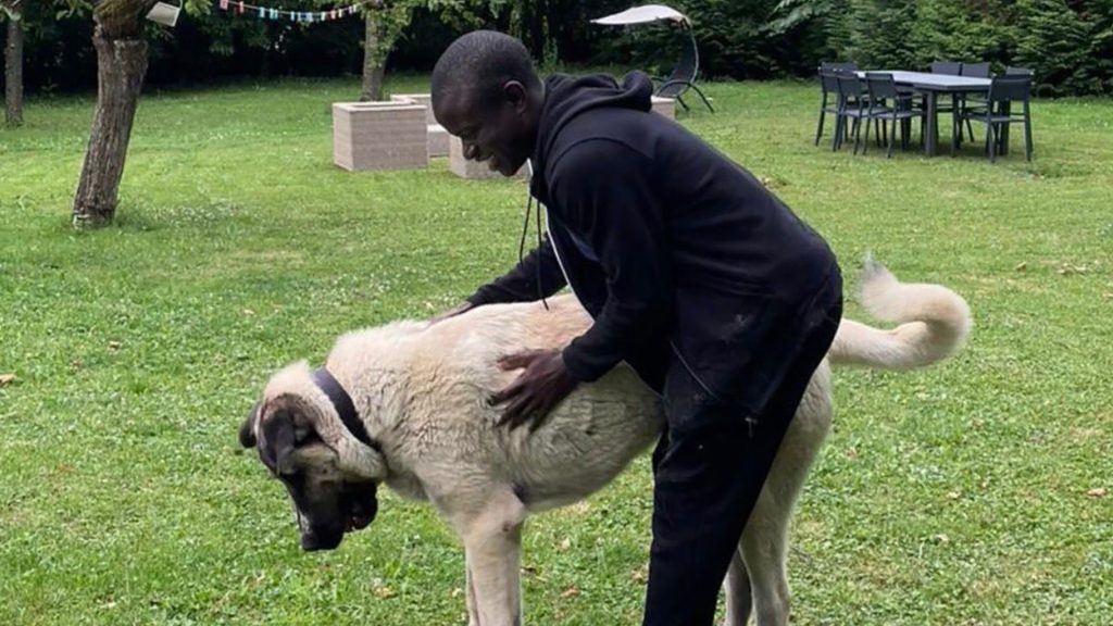 Kanté’nin Türkiye Hikâyesi: Fenerbahçe Transferinin Ardındaki Sıcak Bağ ve “Hatun Anne” Detayı AW635175 05 | Gündem Sivas™ Haber