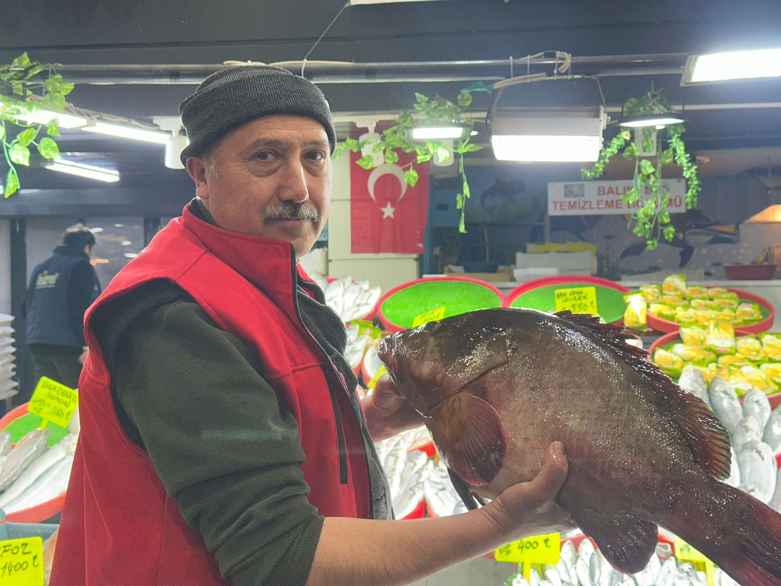 Sivas’ta Tezgâhların Yıldızı: 7,5 Kiloluk Dev Orfozun Fiyatı Altınla Yarışıyor