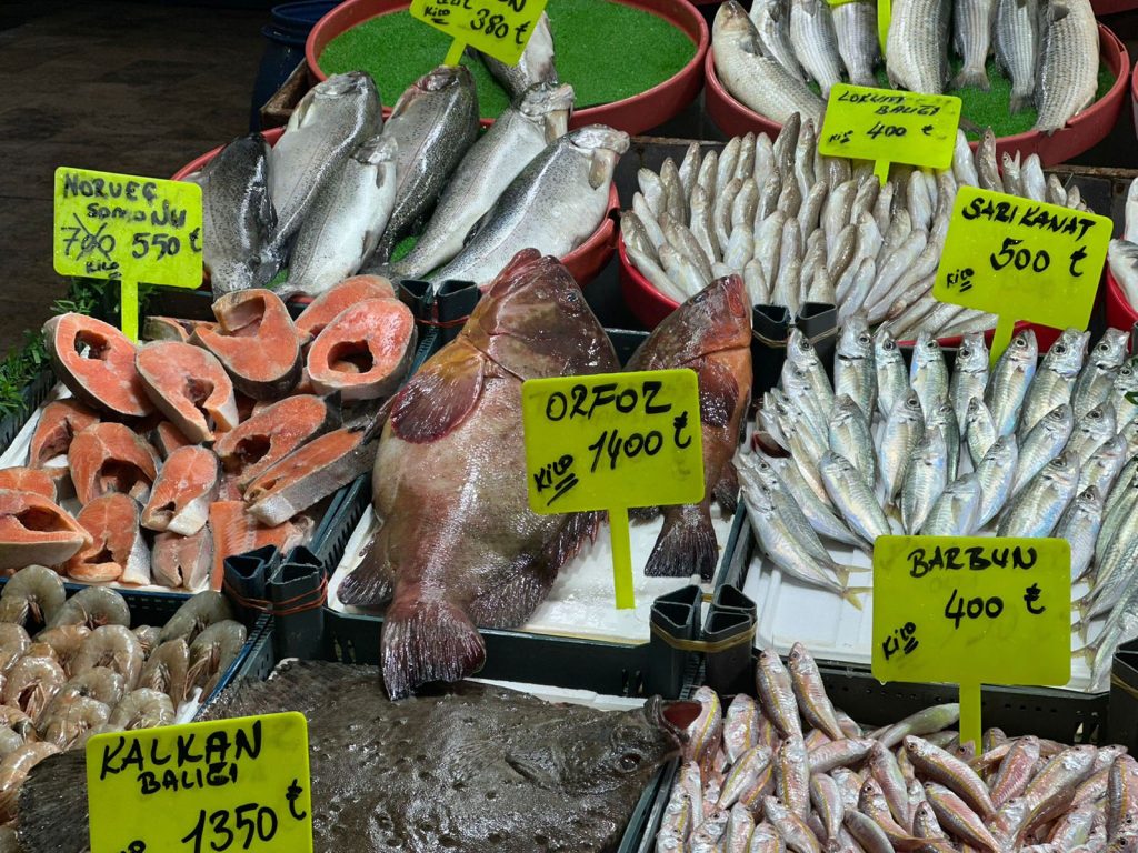 Sivas’ta Tezgâhların Yıldızı: 7,5 Kiloluk Dev Orfozun Fiyatı Altınla Yarışıyor AW636764 02 | Gündem Sivas™ Haber