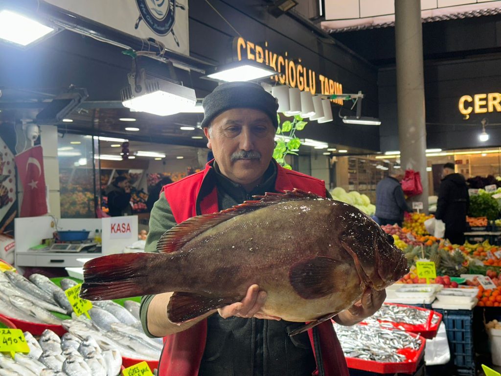 Sivas’ta Tezgâhların Yıldızı: 7,5 Kiloluk Dev Orfozun Fiyatı Altınla Yarışıyor AW636764 05 | Gündem Sivas™ Haber