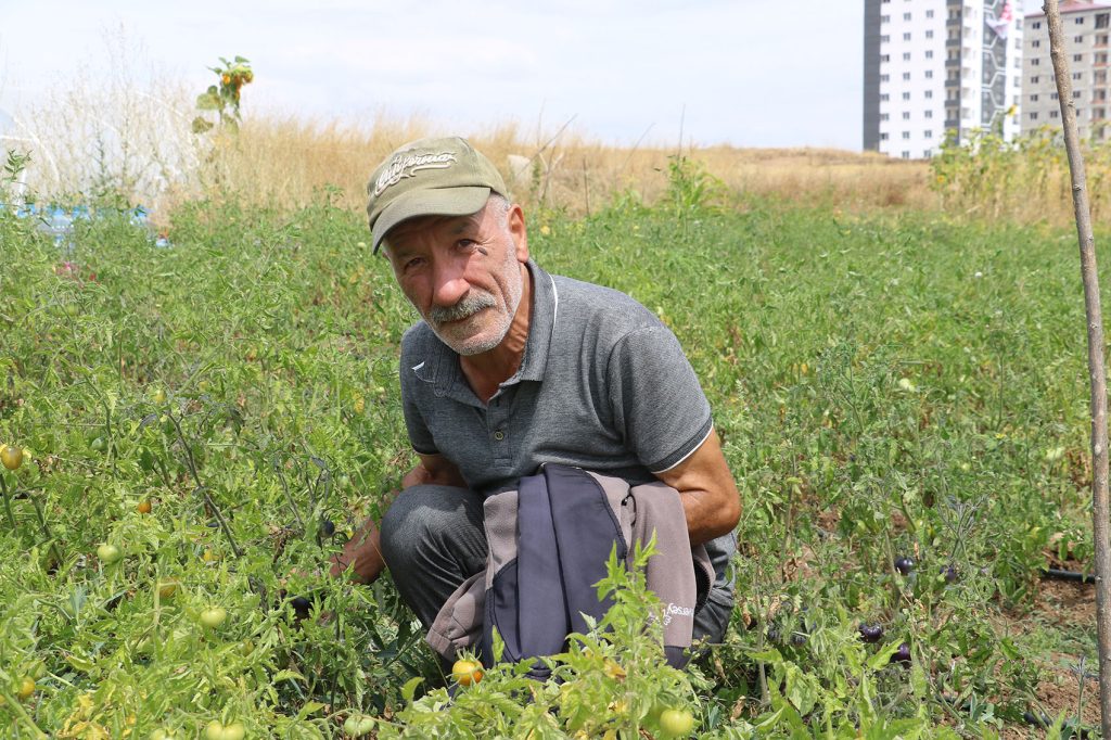 Kanserle Mücadele Eden Emekli Öğretmen Mustafa Bakay’dan Ata Tohhumuna Ömürlük Direniş Kanserle Mücadele Eden Emekli Öğretmen Mustafa Bakay’dan Ata Tohhumuna Ömürlük Direniş