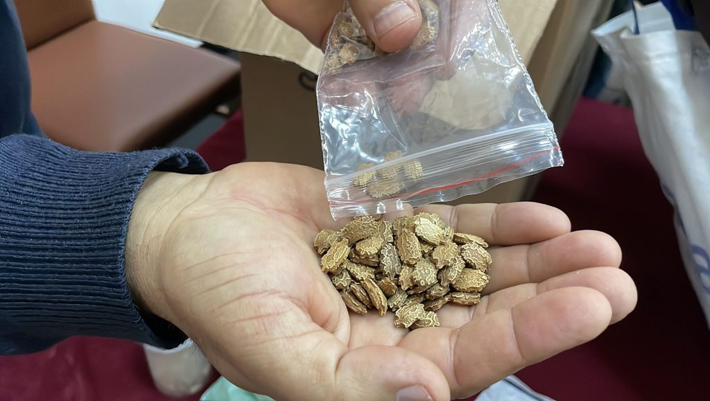 Kanserle Mücadele Eden Emekli Öğretmen Mustafa Bakay’dan Ata Tohhumuna Ömürlük Direniş AW637856 05 | Gündem Sivas™ Haber