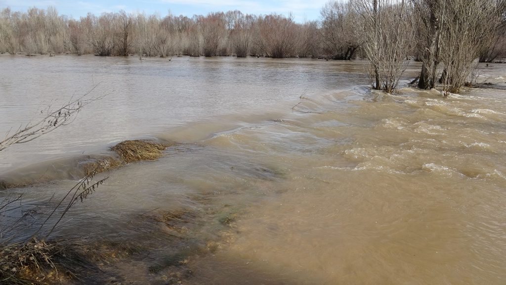 Sivas’ta Yıldız Irmağı Taştı: İsmail Bey Çiftliği Köy Yolu Sular Altında, Köprü Talebi Yeniden Gündemde AW642772 07 | Gündem Sivas™ Haber
