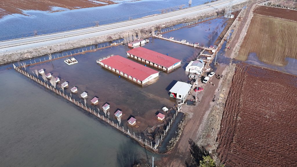 Sivas’ta Karların Erimesi Taşkına Dönüştü: 80 Kangal Köpeğinin Bulunduğu Çiftlik Sular Altında Kaldı AW642834 04 | Gündem Sivas™ Haber