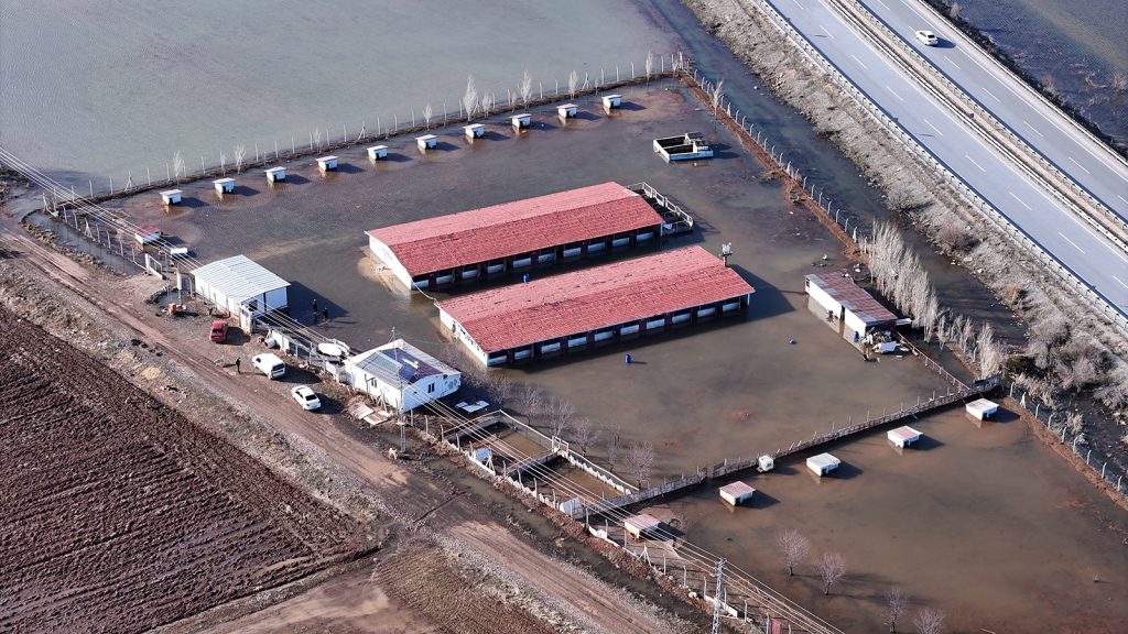 Sivas’ta Karların Erimesi Taşkına Dönüştü: 80 Kangal Köpeğinin Bulunduğu Çiftlik Sular Altında Kaldı AW642834 05 | Gündem Sivas™ Haber