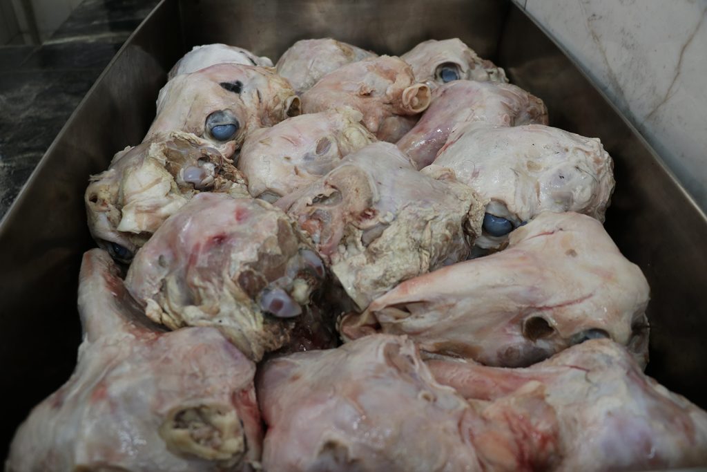 ‘Gözünün Yağını Yiyeyim’ Deyiminin Sırrı Ortaya Çıktı: Sivas Kellesinin Gözünden Sofralara Uzanan Kültür AW644599 05 | Gündem Sivas™ Haber