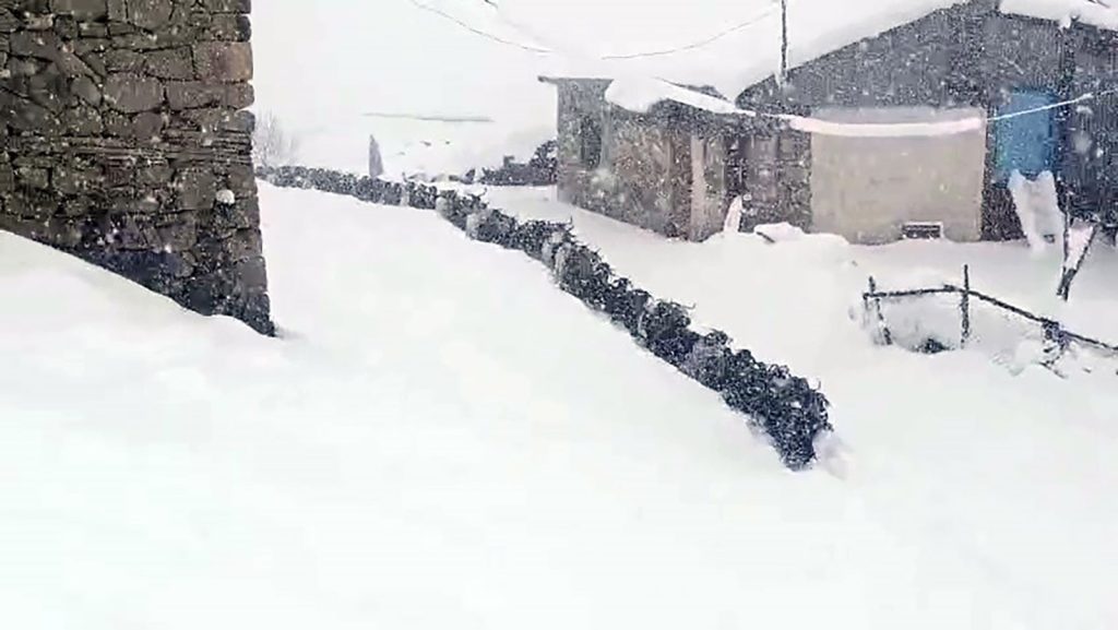 Divriği’de Yarım Metre Kar Engel Olamadı: İnatçı Keçiler Ağıllarına Ulaşmayı Başardı AW650432 04 | Gündem Sivas™ Haber