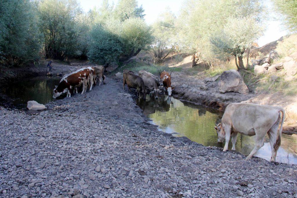 Sivas’ta 9 Yıl Sonra Yeniden Coştu: Koru Nehri Karların Erimesiyle Hayat Buldu AW650953 02 | Gündem Sivas™ Haber