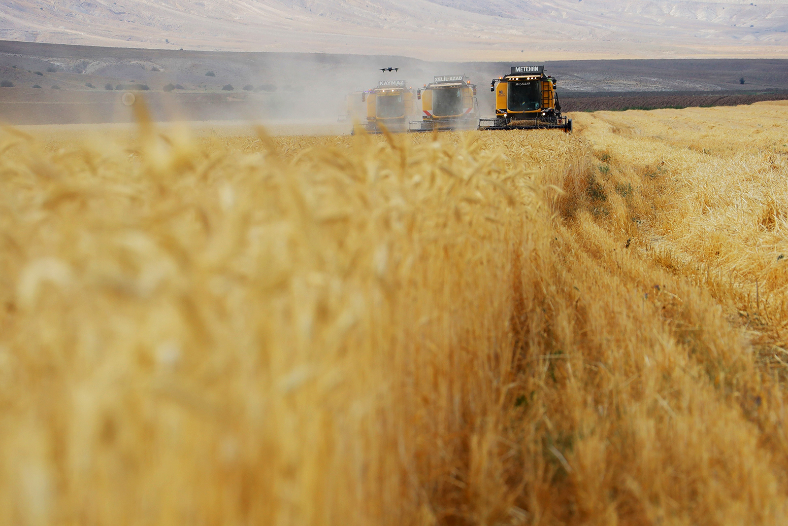 Sivas’ta Yoğun Kar Yağışı Bereket Getirdi: Erime Suları Tarımı Canlandırdı, Çiftçinin Yüzü Güldü