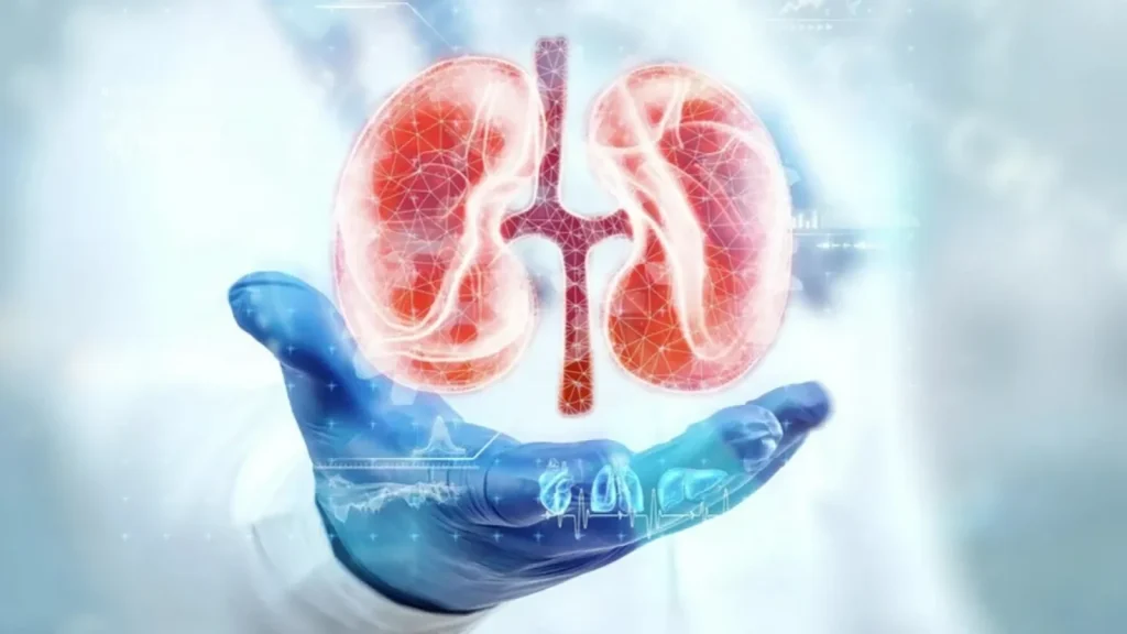 Kronik Böbrek Hastalığı Her 10 Yetişkinden 1’ini Etkiliyor: Uzmanlar Erken Teşhis İçin Uyarıyor Kronik Böbrek Hastalığı Her 10 Yetişkinden 1’ini Etkiliyor: Uzmanlar Erken Teşhis İçin Uyarıyor